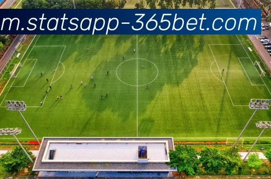 App Interface Preview